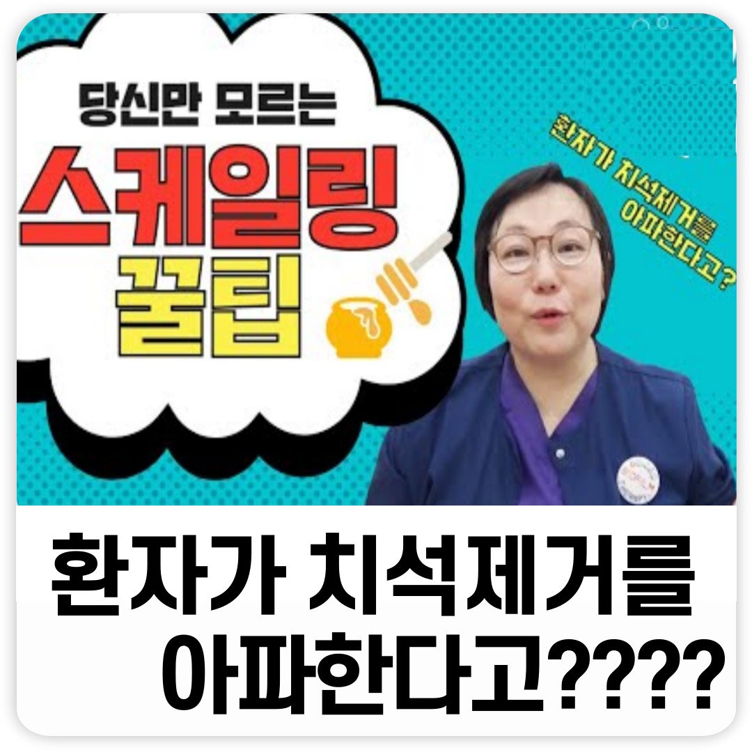 추천배너